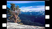 Great Western Divide, Sequoia National Park