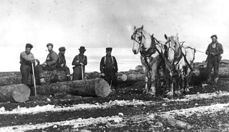 Winter Logging
