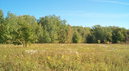 McCloud-Brigham Farm site